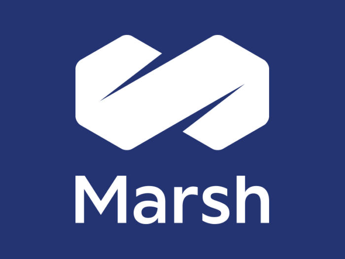 large Marsh Advantage Insurance