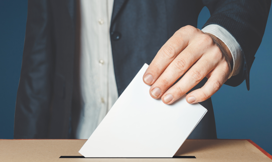 MPMSAA Board and National Council election results