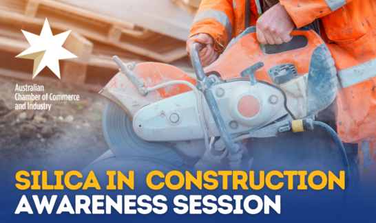 Silica in Construction Awareness Session